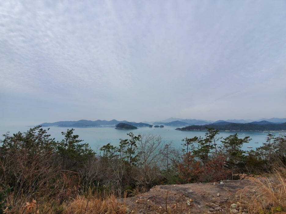 옥천횟집·한정식 이미지