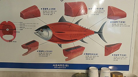 사라있네 이미지
