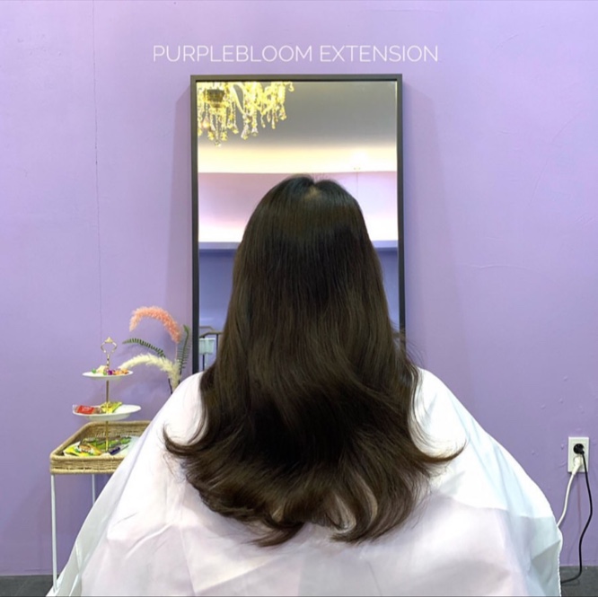 퍼플블룸 이미지
