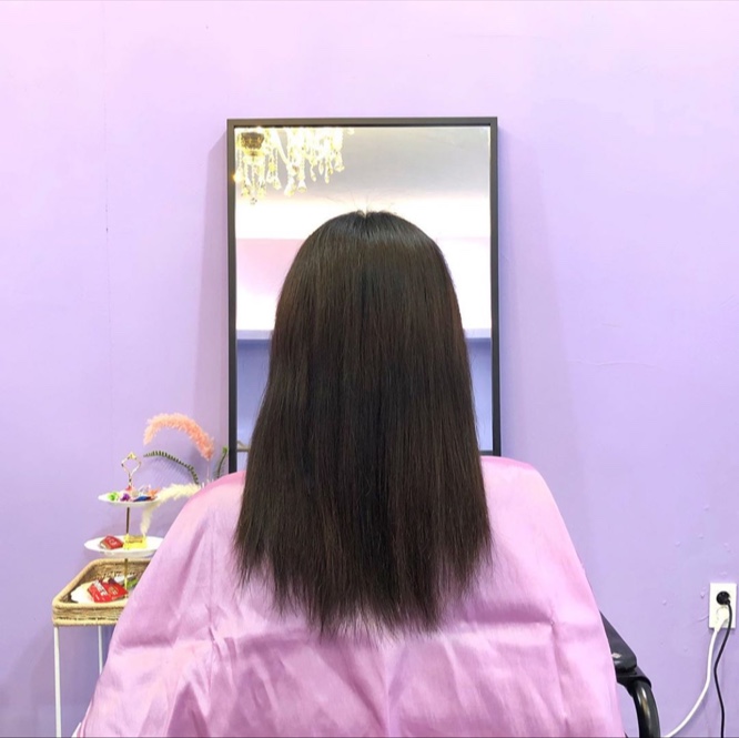 퍼플블룸 이미지