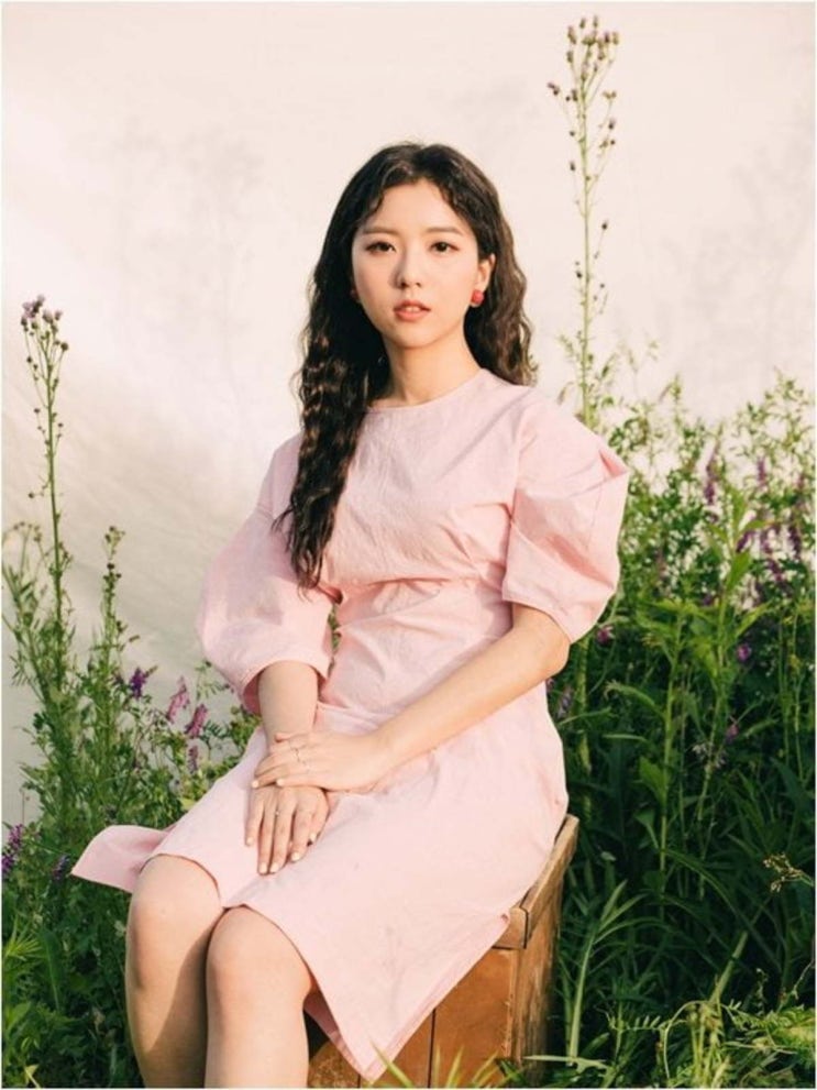 청춘어항 이미지
