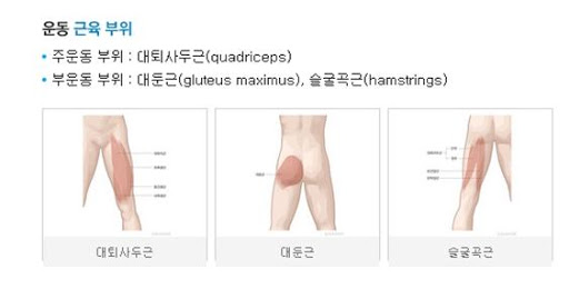 머슬96짐 이미지