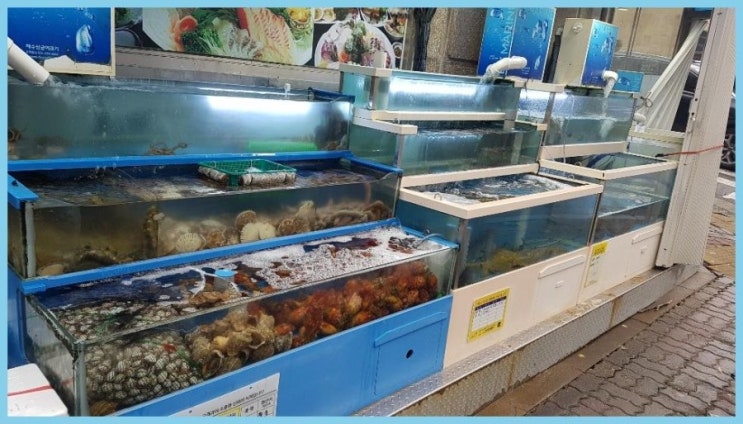 동해수산·참치 이미지