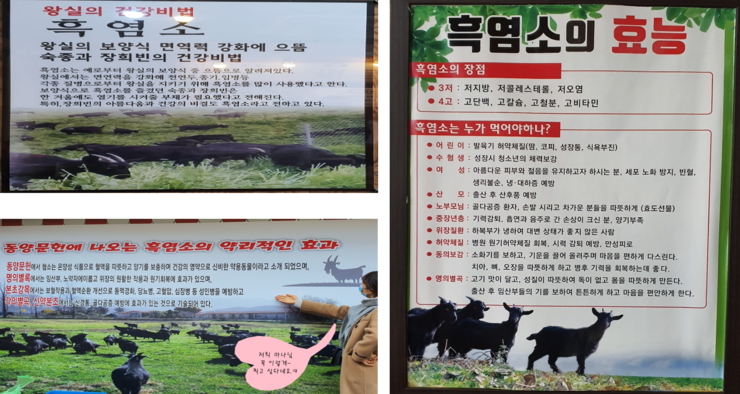 황간흑염소 이미지