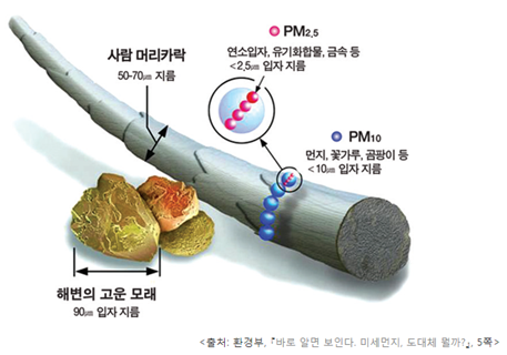 유니큐 이미지