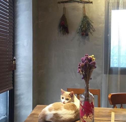 오늘의카페 이미지