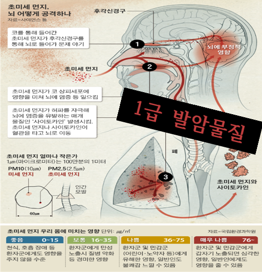 유니큐 이미지