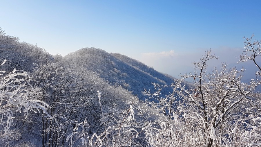 천금집 이미지