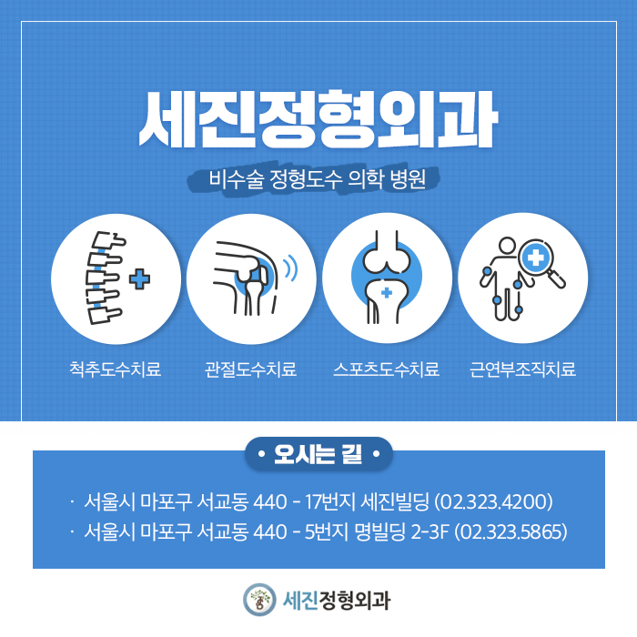 단비투어월드 이미지