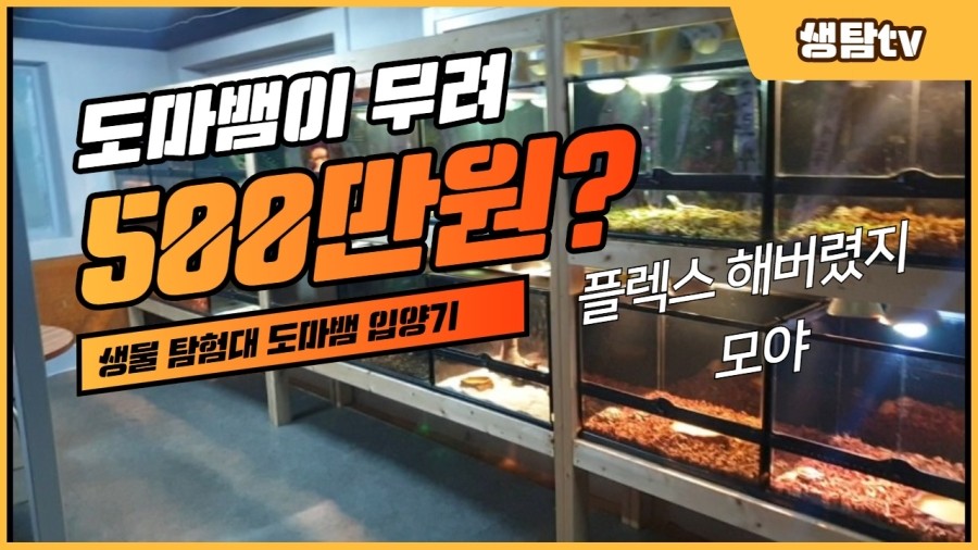 생탐 이미지