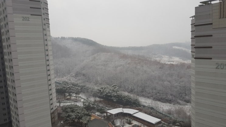 다정한행정사사무소 이미지