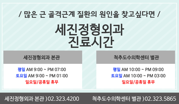 단비투어월드 이미지