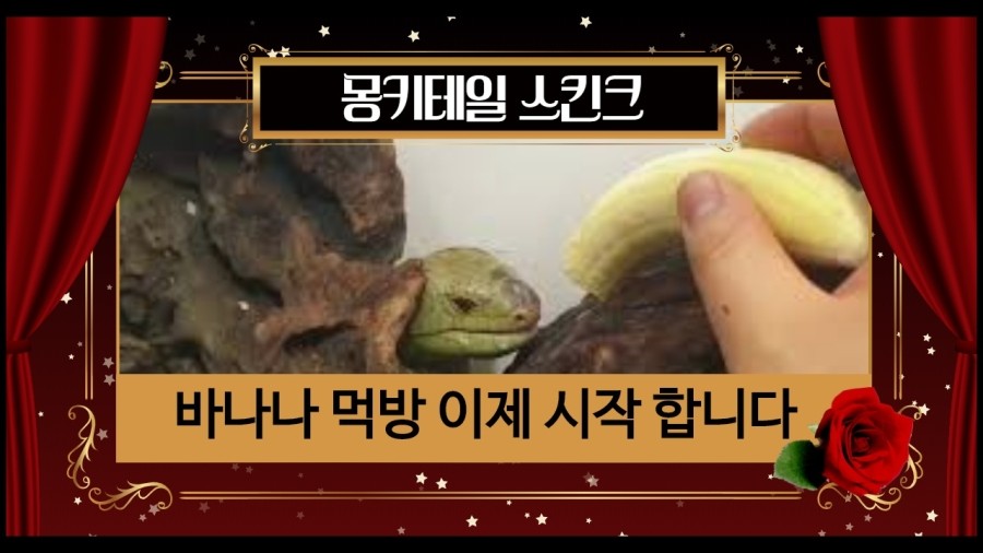 생탐 이미지