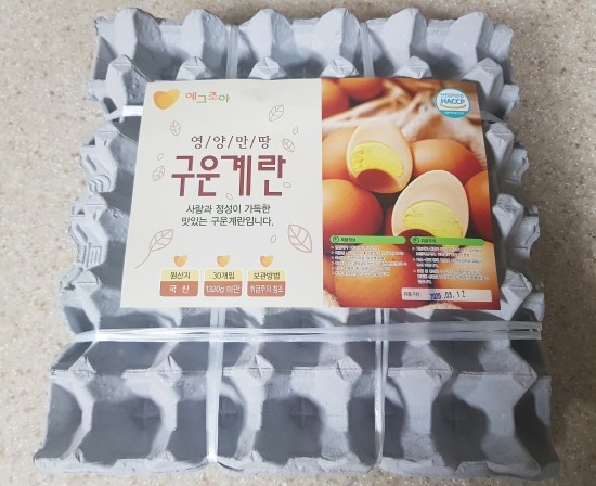 에그조아 이미지
