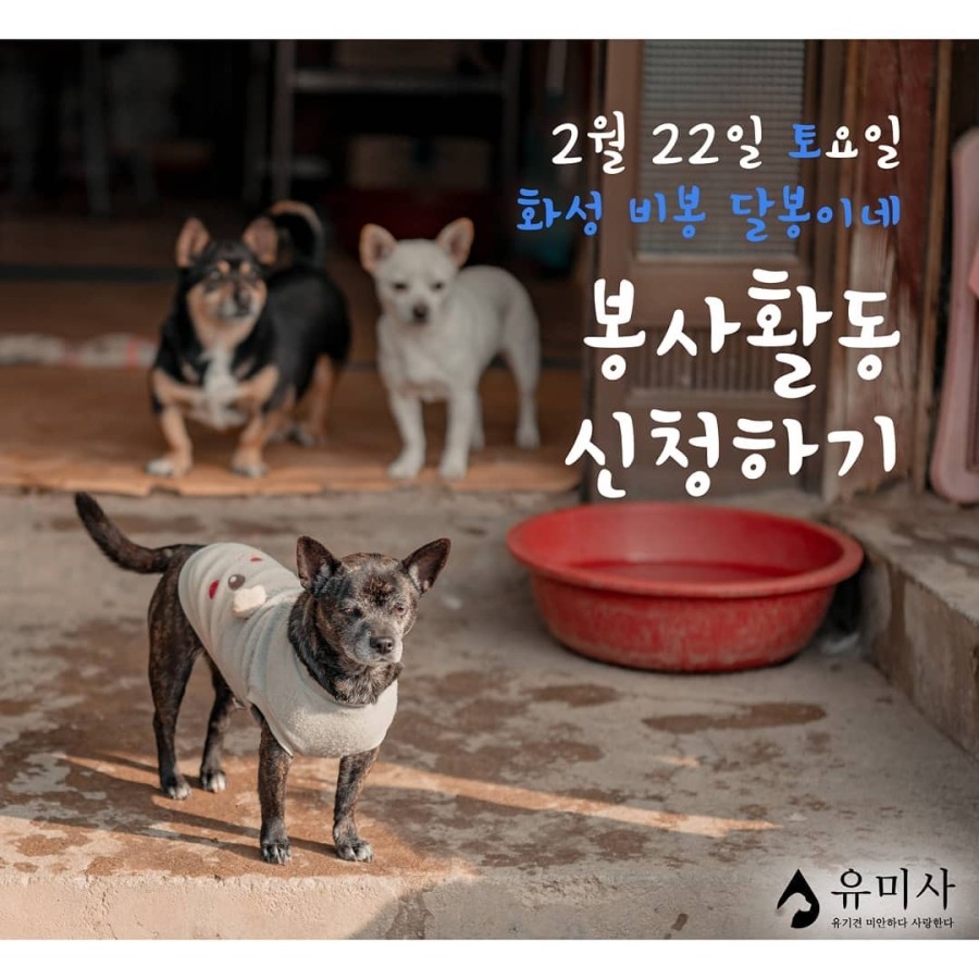 유미사 이미지