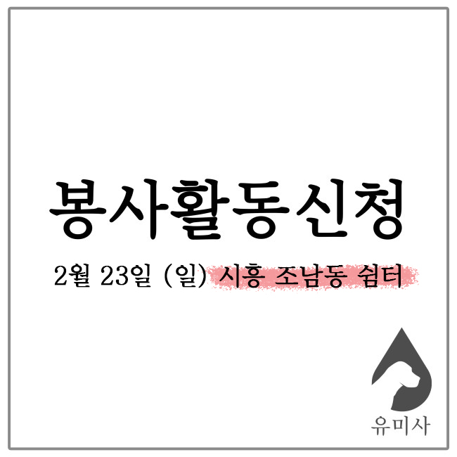 유미사 이미지