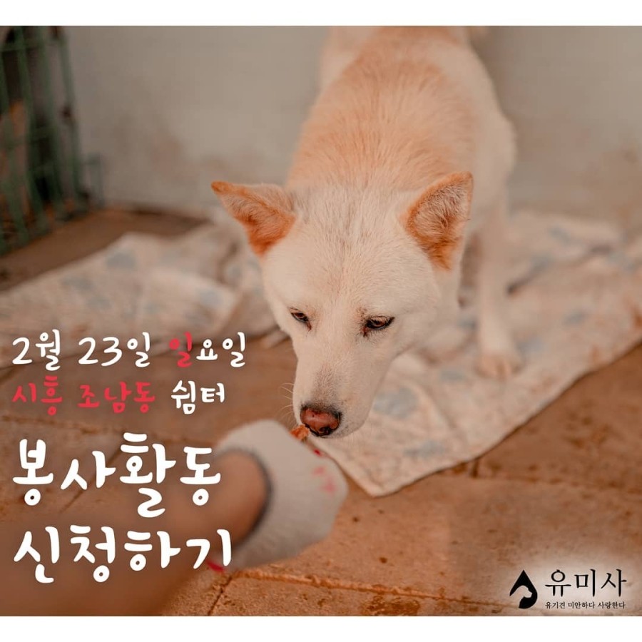유미사 이미지