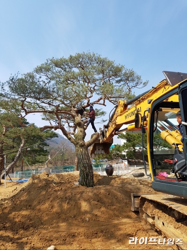 이끌컨설팅 이미지