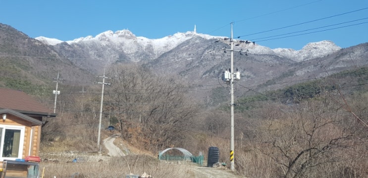 계룡해물칼국수 이미지