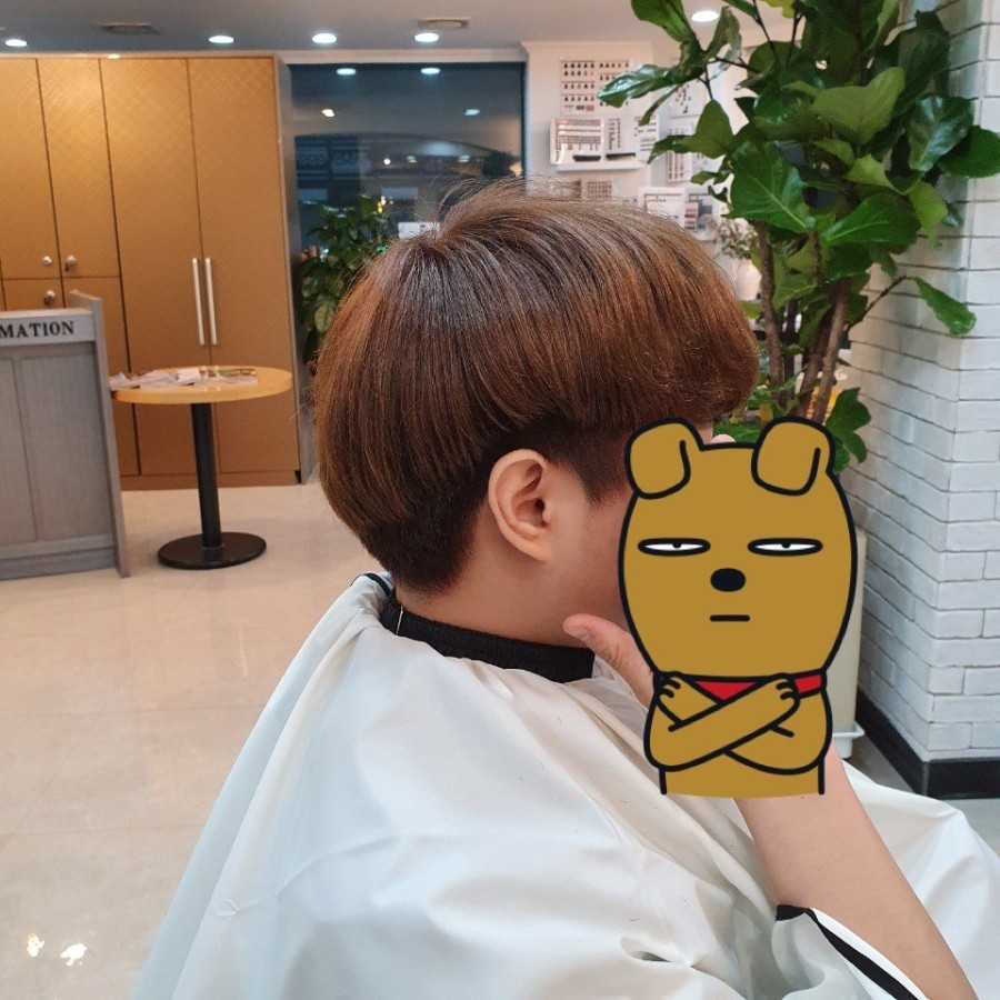 이안SYSTEM 이미지