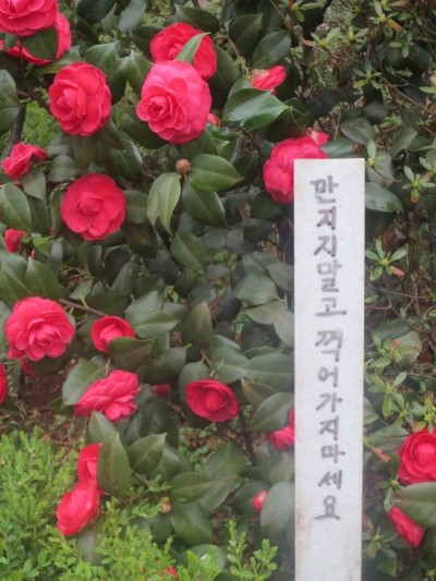 흙내음화가 이미지