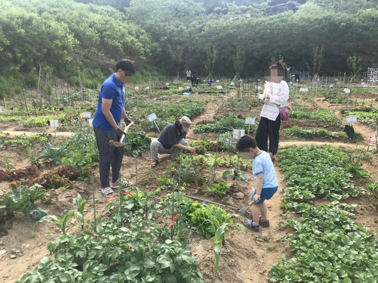 텃밭2 이미지