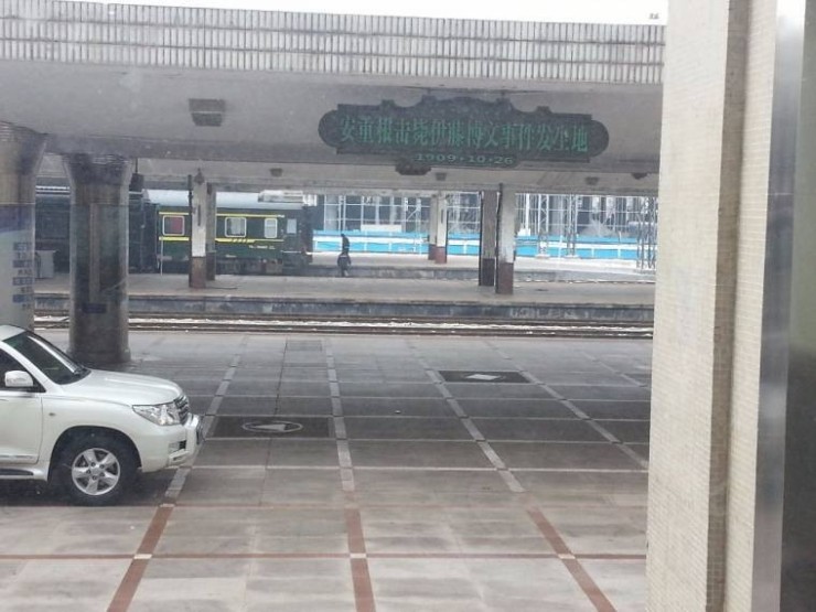 정답은꽃 이미지