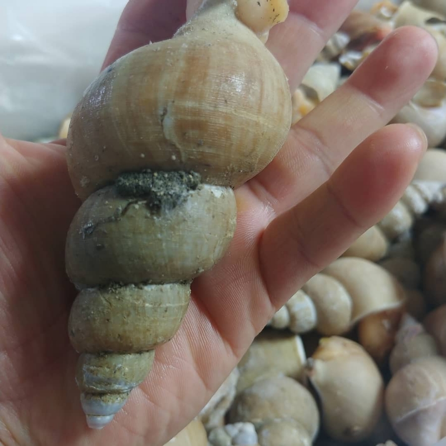 오늘안주 이미지