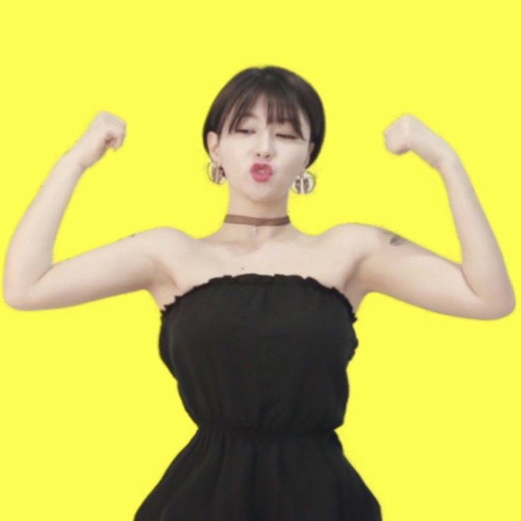 삐약스핏 이미지