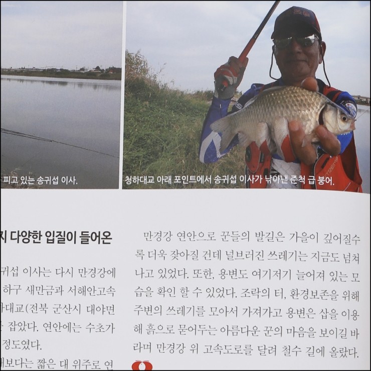 군산 청하대교 이미지