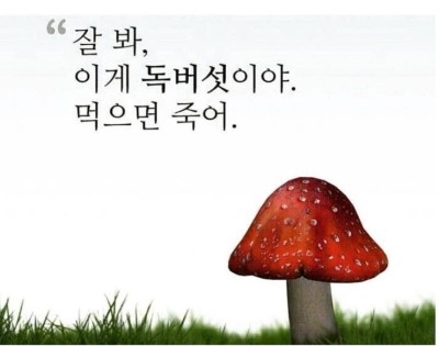 미니미 이미지