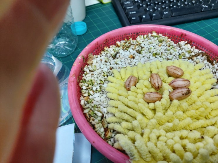 그린스토리 이미지