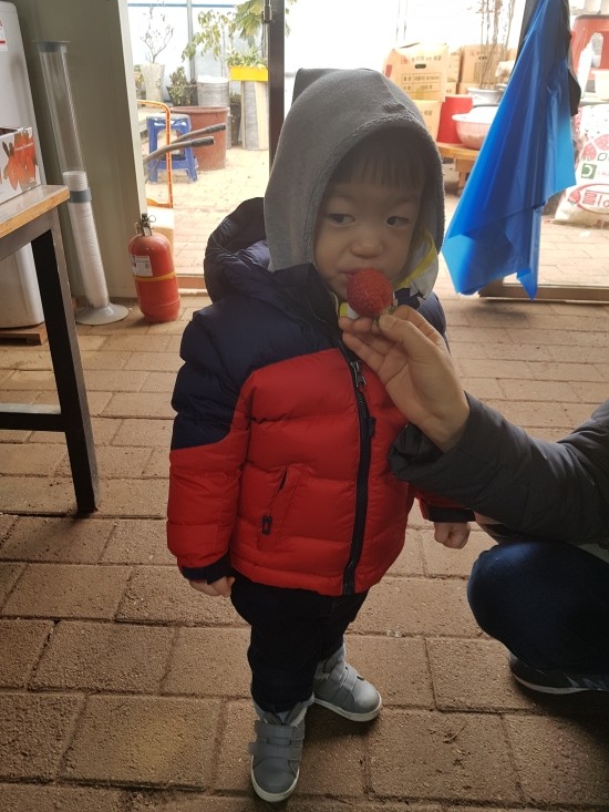 딸기헤어샵 이미지