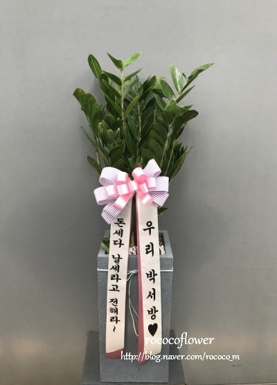 광교킨록앤더슨 이미지