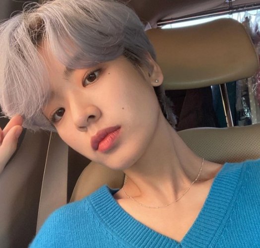 파슈 이미지