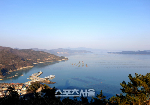 땅끝한우 이미지