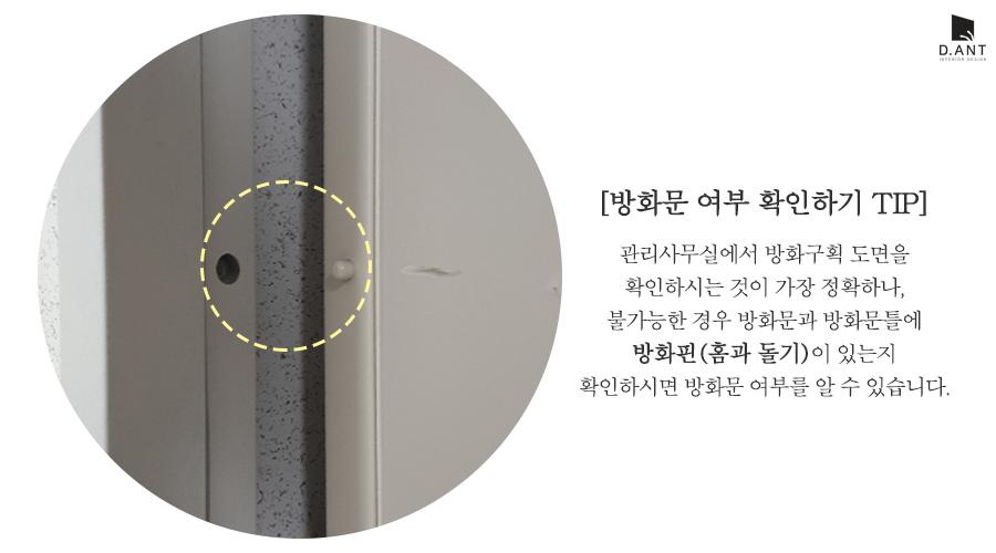 디앤트 이미지