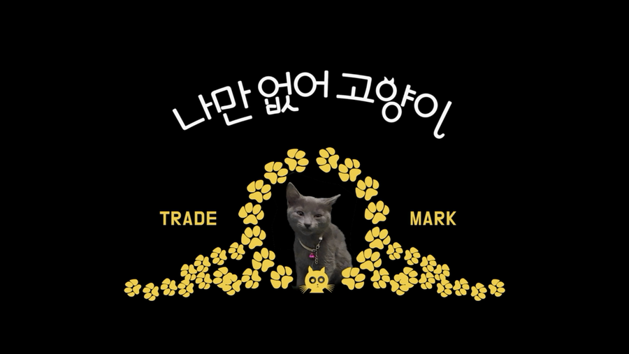 나만없어고양이 이미지