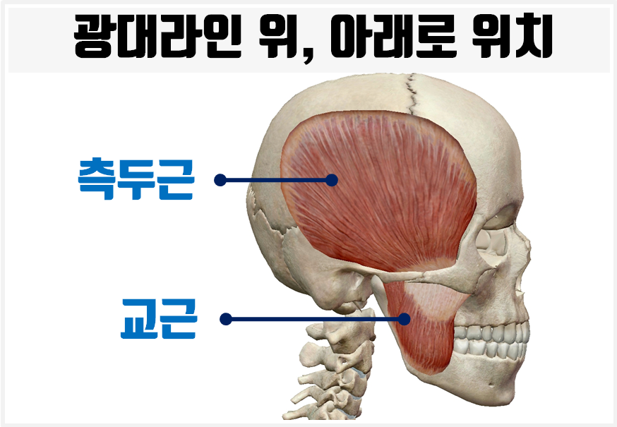 라인한의원 이미지
