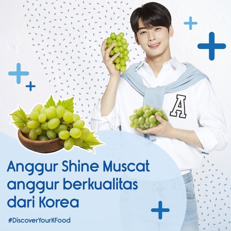 케이푸드(K FOOD) 이미지