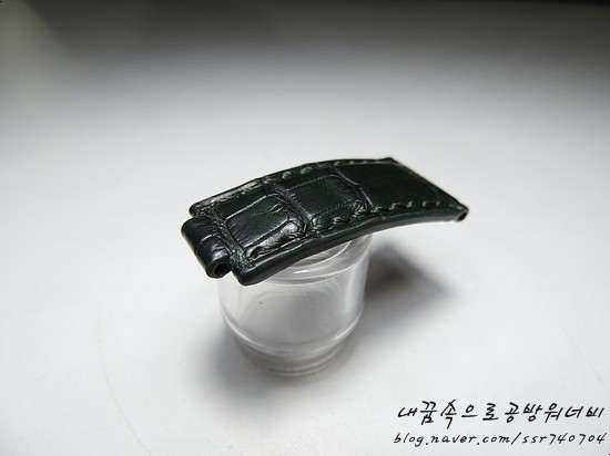 뱀플랍 이미지