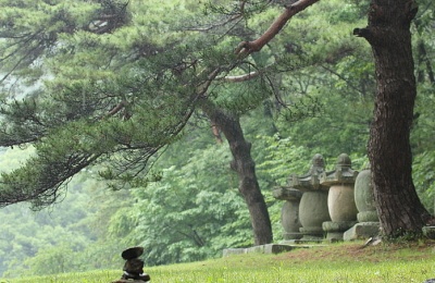우송정 이미지