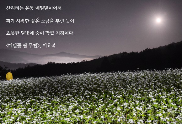 별밭식당 이미지
