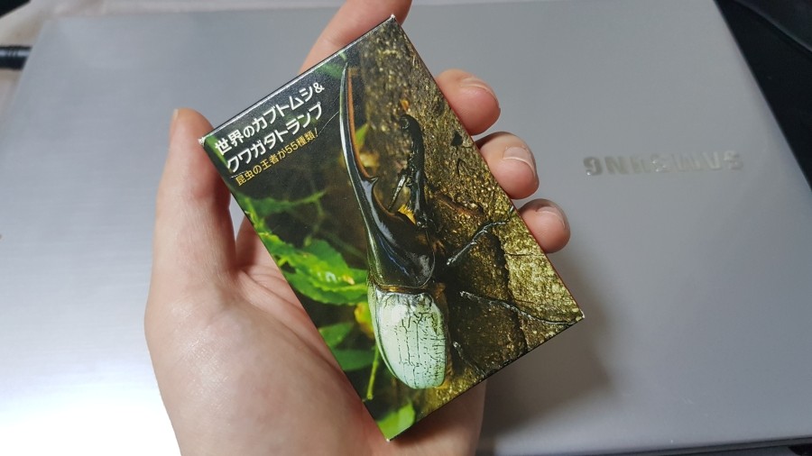 지니파파 이미지