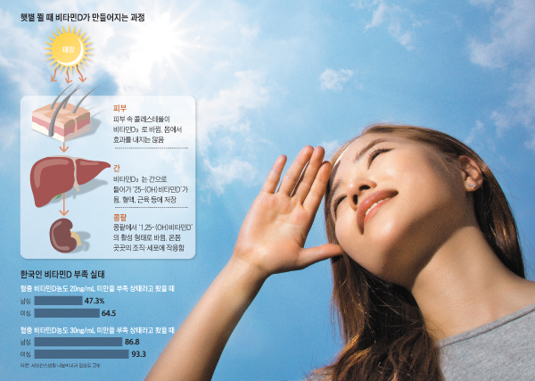 뉴비타민 이미지