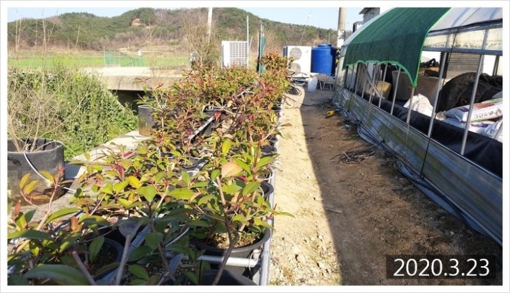 청수농장 이미지