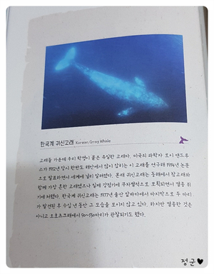 KakaoTalk_20200323_232814857_17