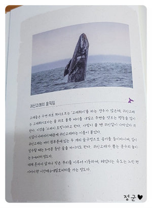 KakaoTalk_20200323_232814857_12