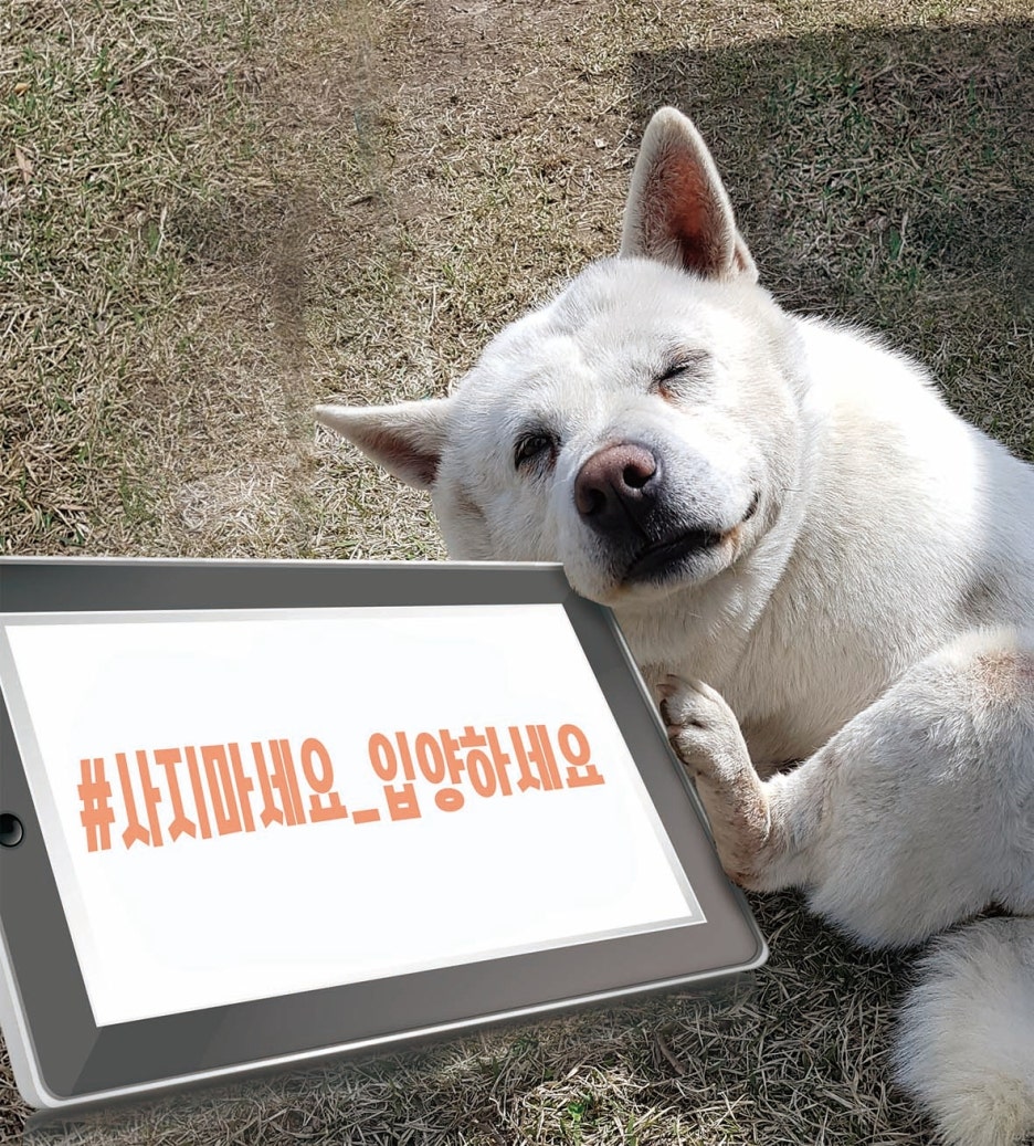 미지미지 이미지