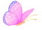 1.1-5.gif